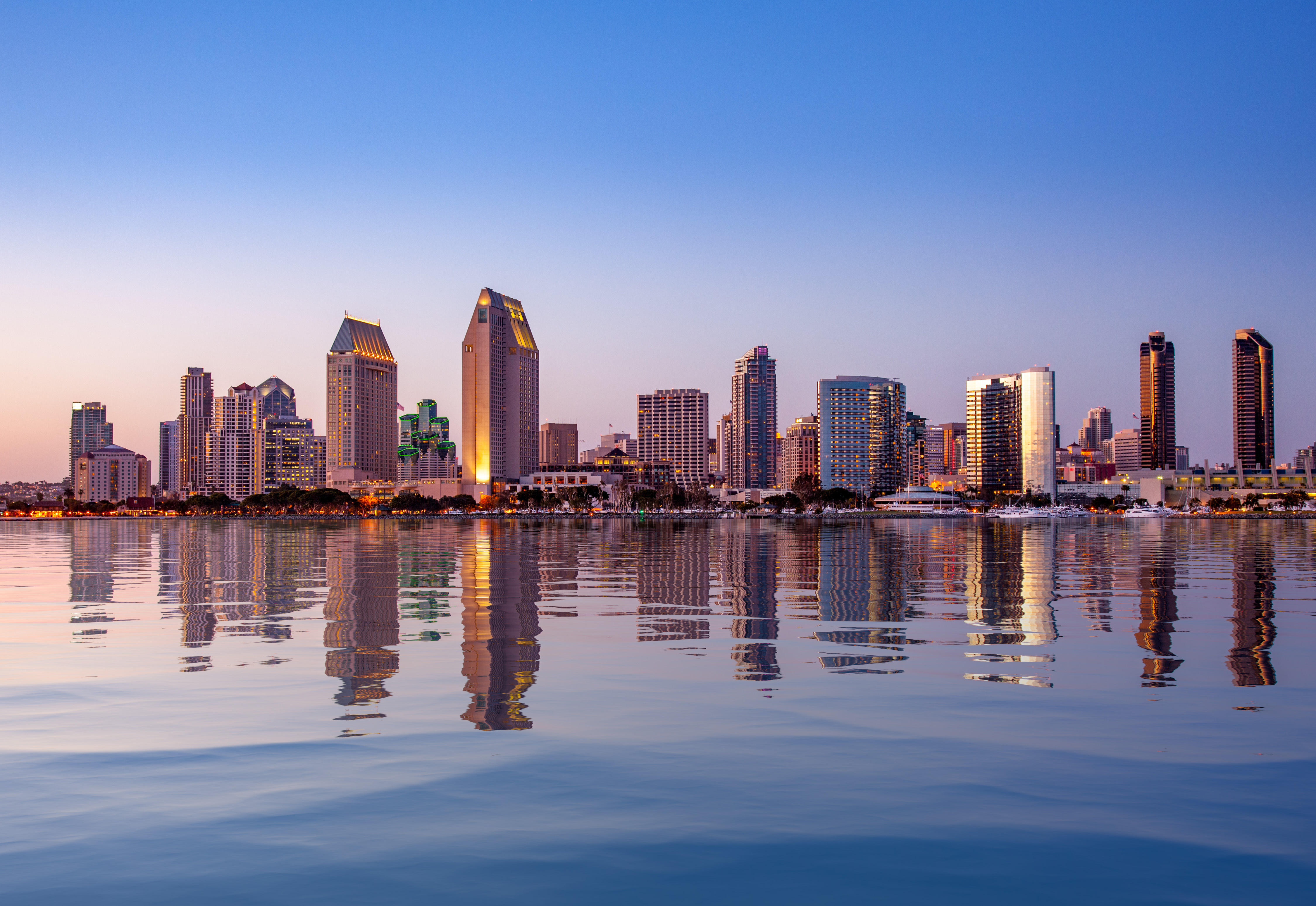 Why Companies in San Diego Rely on IT Consulting Services